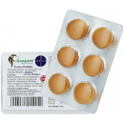 Sangam Herbals. Леденцы Basilis - Тулси и Имбирь